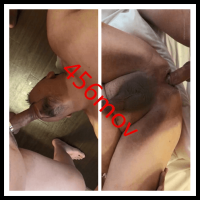 胖熊酒店操射熊叔