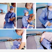 中年熊花钱玩师太