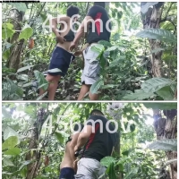 胖叔小树林野战最后双撸射