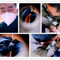 正装叔在鸟洞操两熊叔（3）