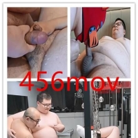 肥猪草狗熊（新）