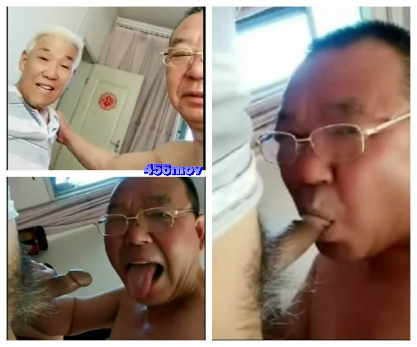 口老情人白毛鸡