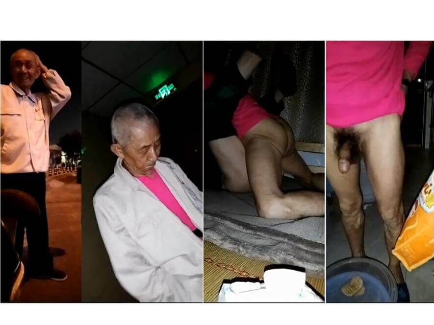 路上和大鸟直老对上眼跟随回家玩
