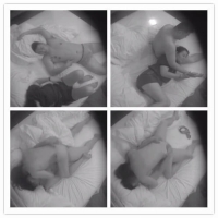 胖熊和人妻宾馆偷情