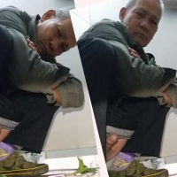 心之所向 31 4合1