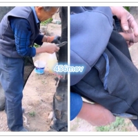 骚叔偶遇干净帅老终玩屌（4）