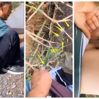 芦苇地勾引帅老喷射超级多浓精（强烈推荐)