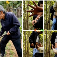 勾引菜农树林口疗操手逼射满