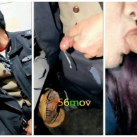 汇姐夜袭粗屌帅伯保安激情玩射记（10)