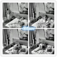 眼镜骚货和同事老公酒店偷情