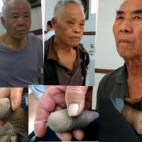 相濡以沫1 10合1