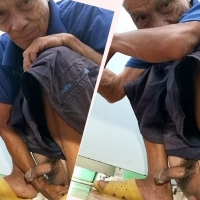 向往的地方77 3合1