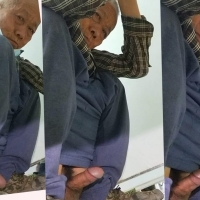 来到老地方50 4合1