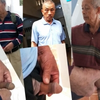 来到老地方44 10合1