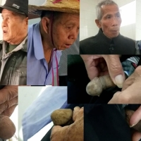 来到老地方43 10合1