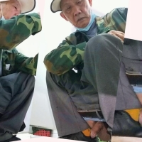 来到老地方29 3合1