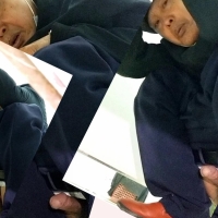 来到老地方22 4合1