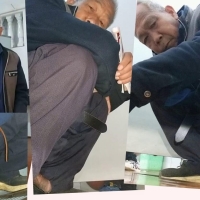 来到老地方17 4合1