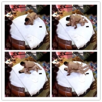 中年和情人酒店偷欢