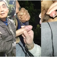 【时隔一天天菜又被口射（感觉衰老很多）1119】-184