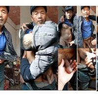 上门拜访多毛大鸟农村直老盘射