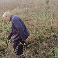 荒郊和胖伯互相吸