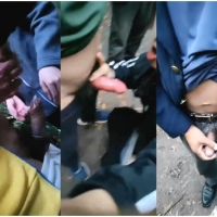 【骚0据点被3根大粗根干1111】-128