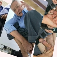 向往的地方15  4合1