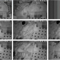 摄像头偷拍很会调情中年夫妻高清原档啪啪视频第一部