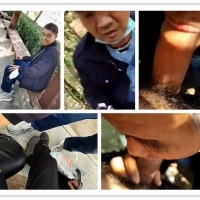 心机中年公园面基两胖伯玩精曲