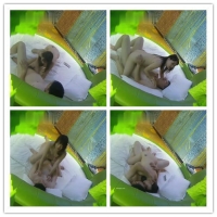 壮熊边打电话边和女炮友床震