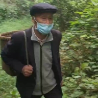 树林里和老农比刺刀