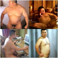 【图片】搜集互联网各类胖熊 壮熊 图片大全（11015张图片）