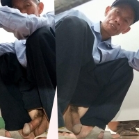 向往的地方86  4合1