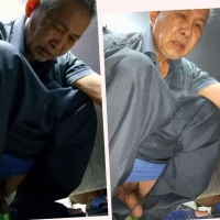 向往的地方87  3合1