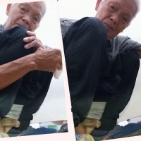 向往的地方99 4合1