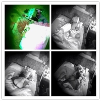 胖叔偷情隔壁少妇