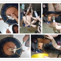 情趣女王调教中年奴隶