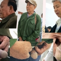 向往的地方41 10合1