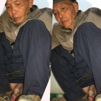 向往的地方51 3合1