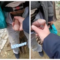 骚男树林打射听话伯