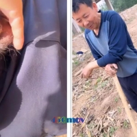 骚男户外勾引两干活老伯