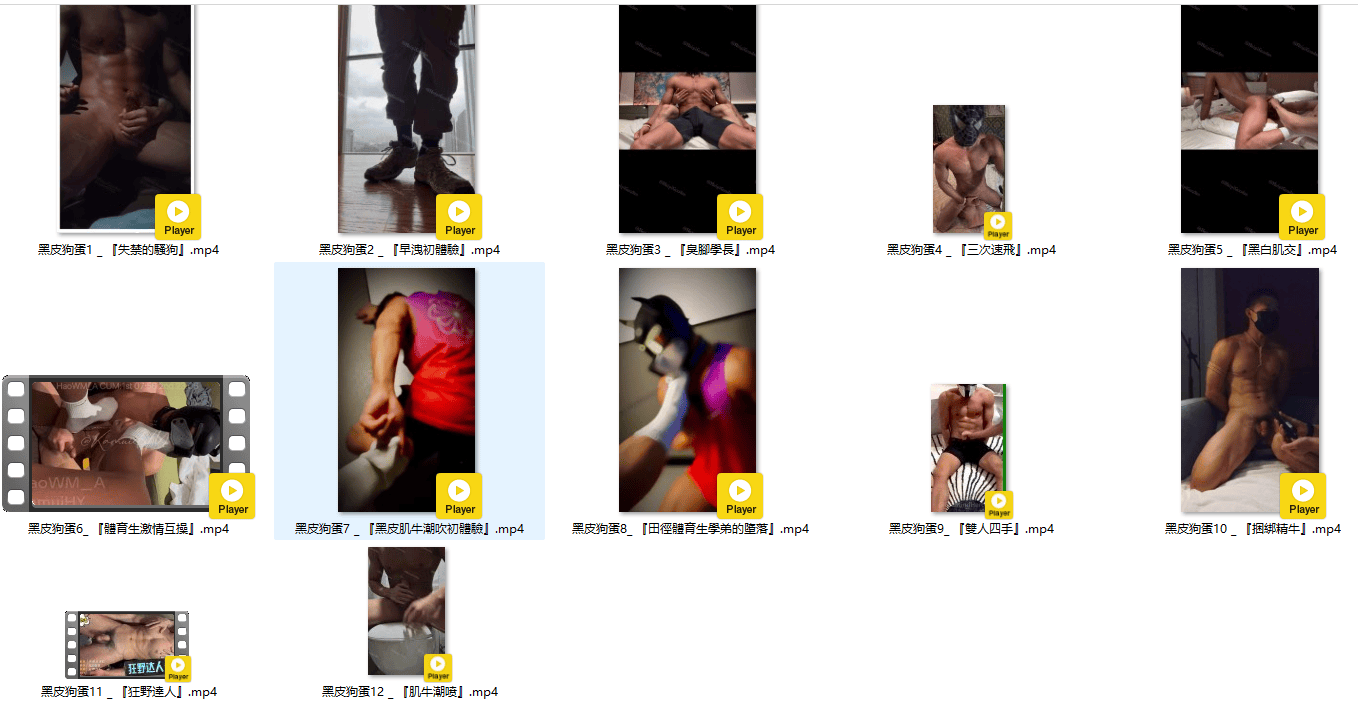 QJ108-黑皮狗蛋【$100】【部数：12部】