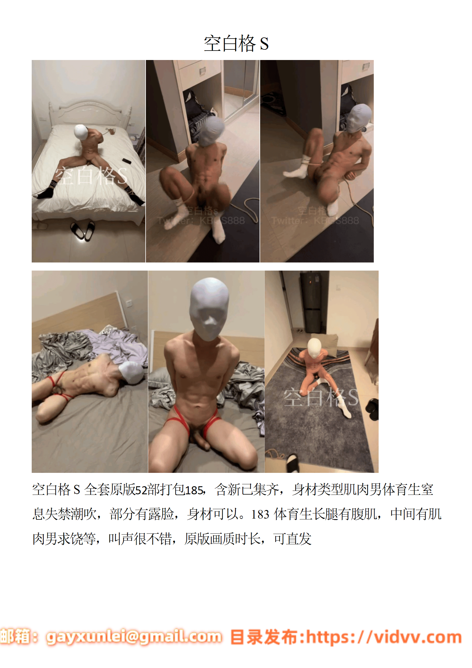 QJ193-空白格S【$185】【部数：52部】