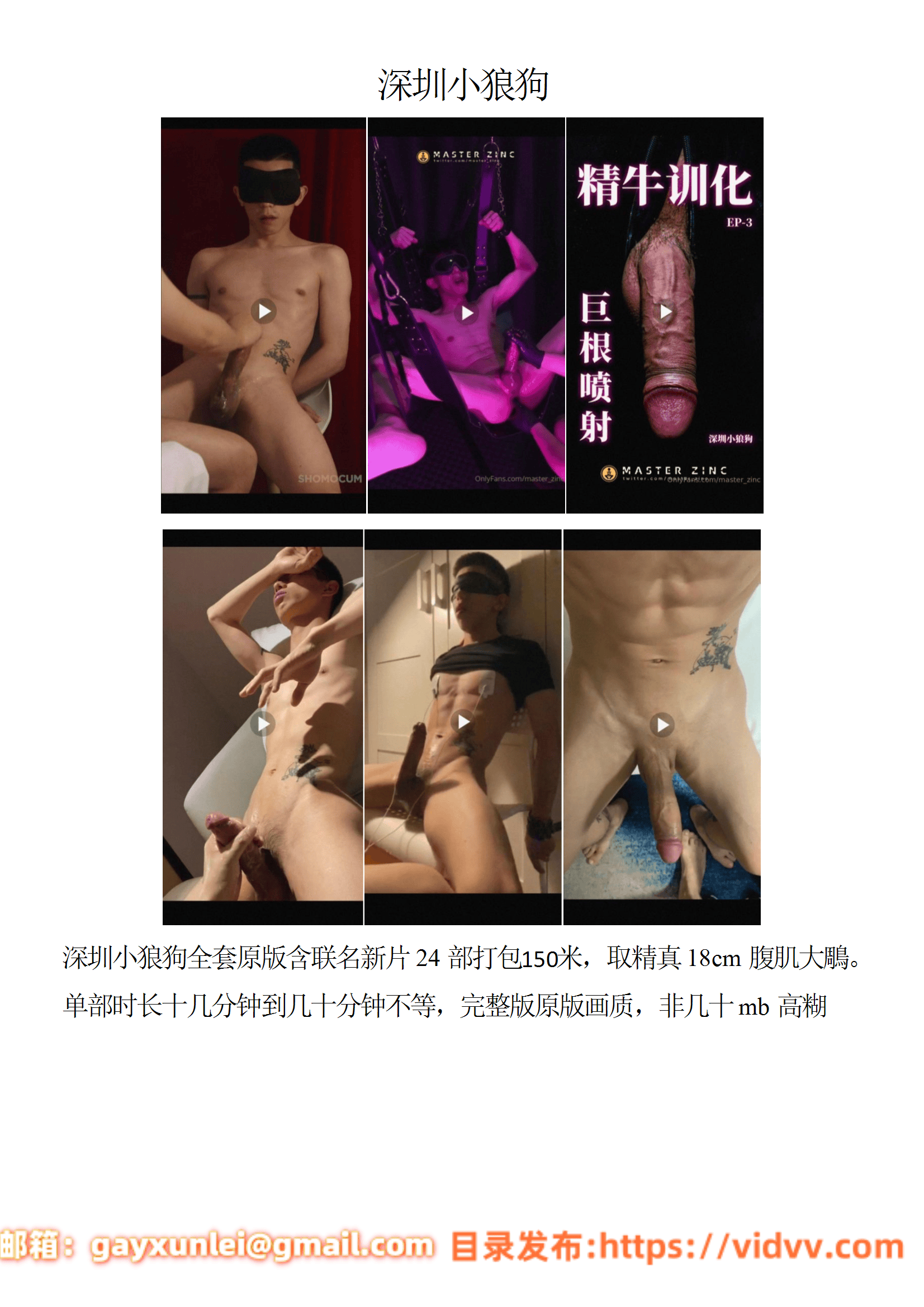 QJ195-深圳小狼狗【$150】【部数：24部】