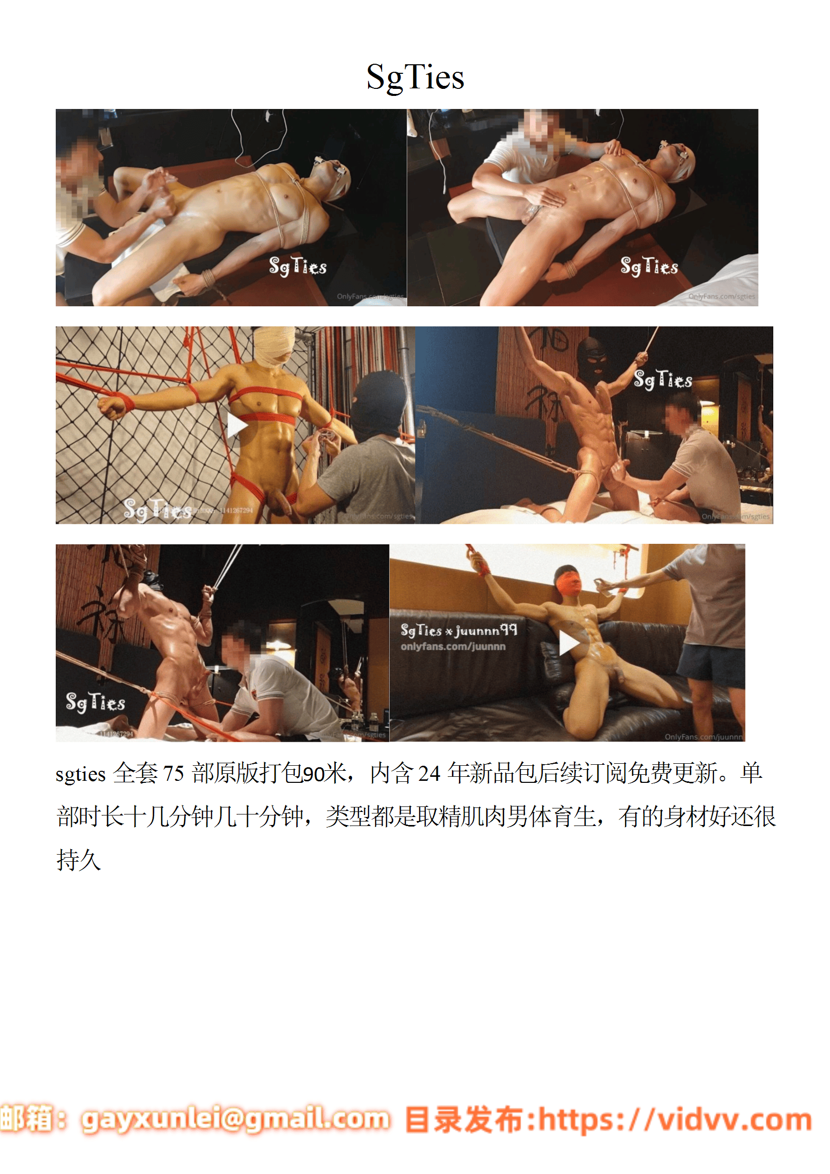 QJ209-SgTies【$90】【部数：75部】