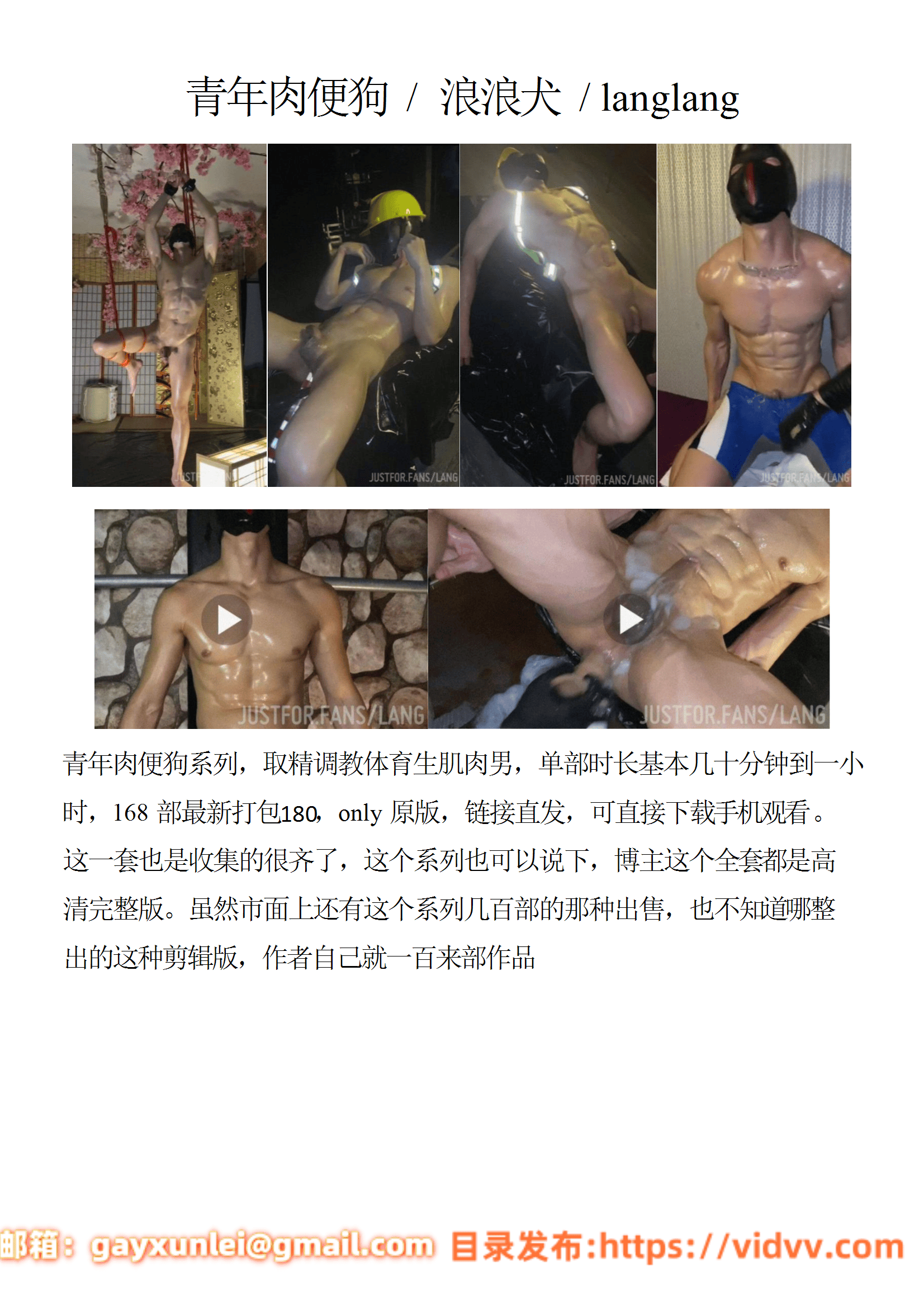 QJ219-青年肉便狗  浪浪犬 langlang【$180】【部数：168部】