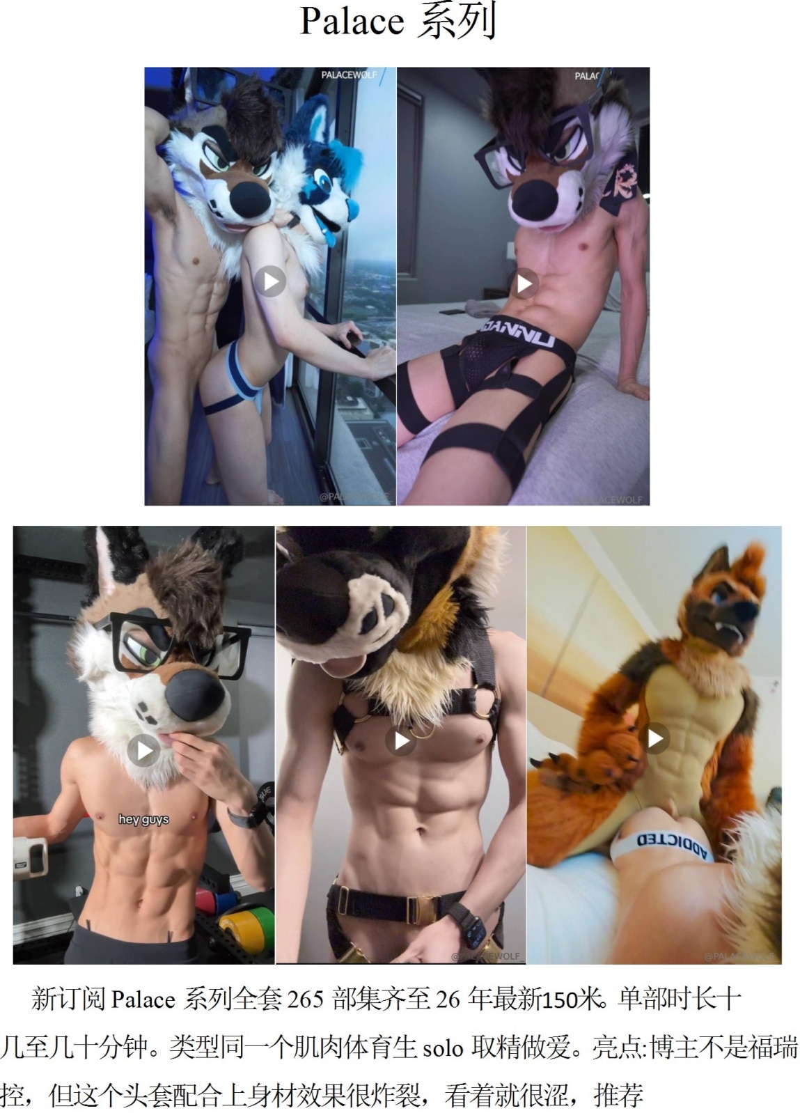 QJ278-Palace【$150】【部数：265部】