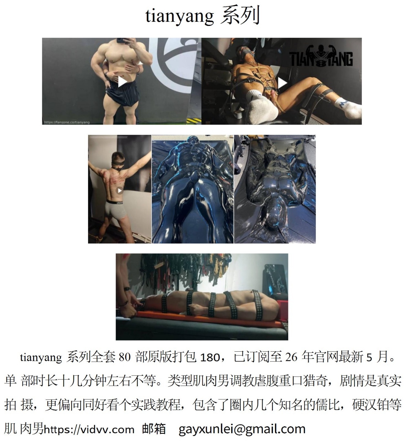 QJ300-tianyang【$180】【部数：80部】