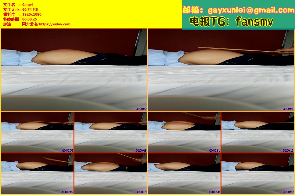 SP9-正太被打屁股男孩SP【$300】【部数：84部】